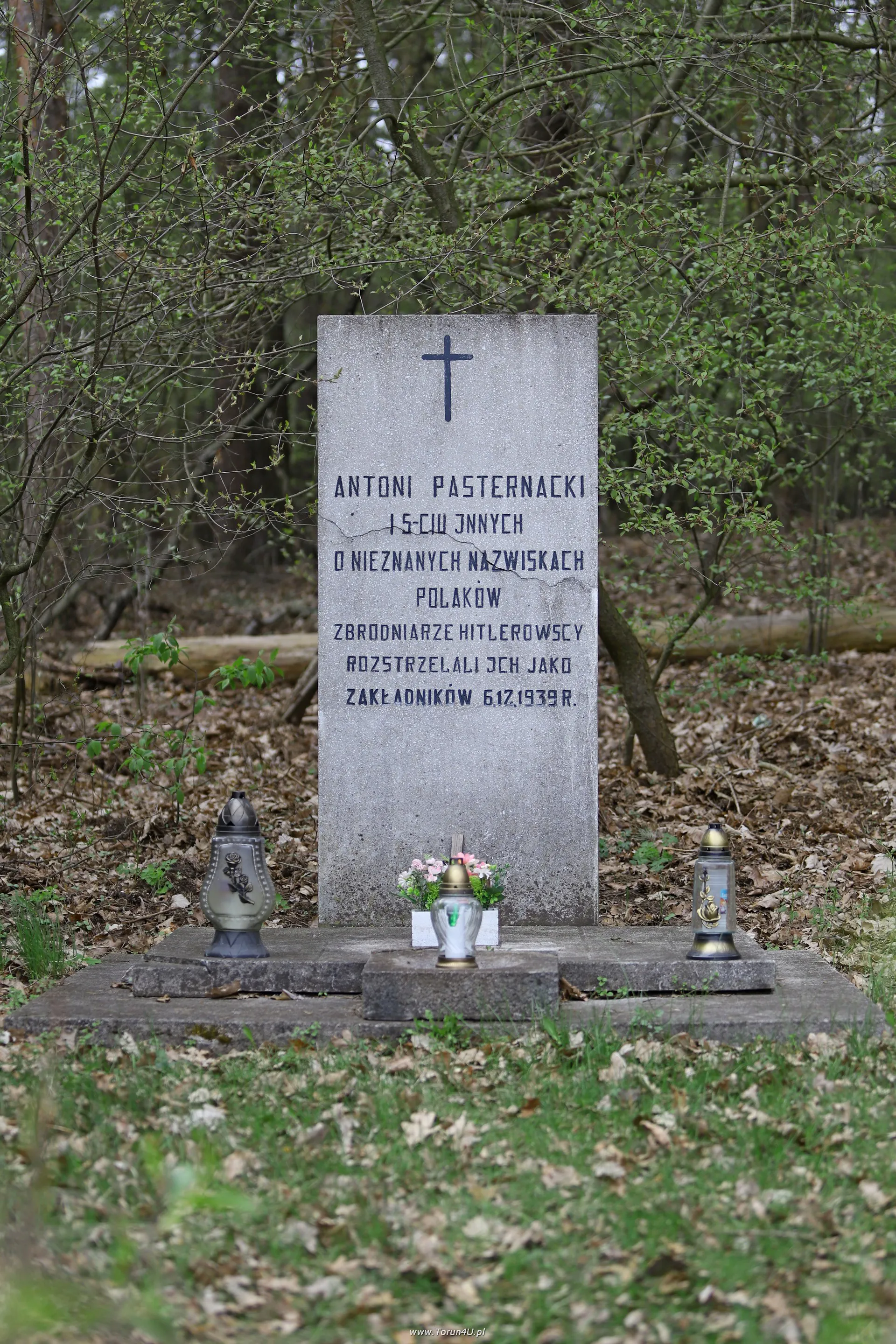 Pomnik Antoniego Pasternackiego