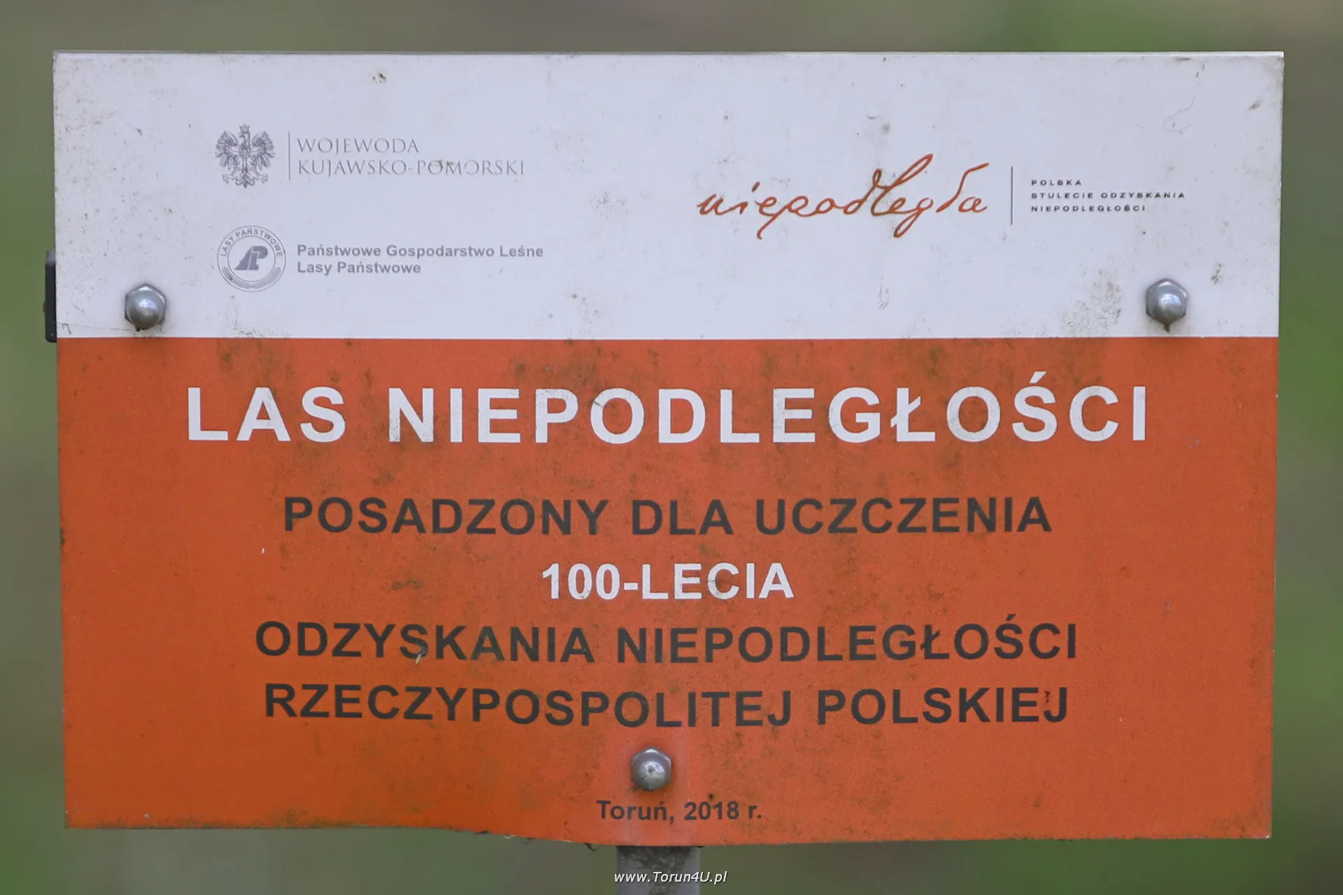 Tablica pamiątkowa Las Niepodległości